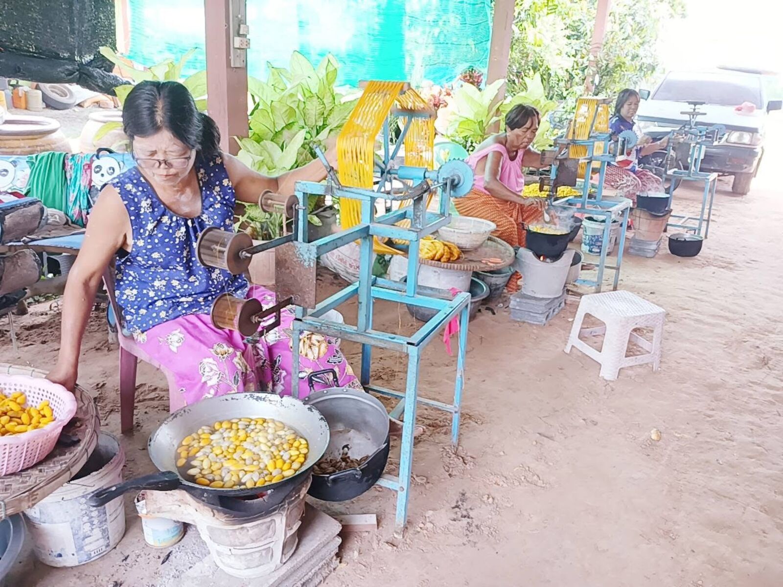 Women reeling golden silk cocoons over pans of hot water at hand-built reels